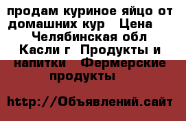 продам куриное яйцо от домашних кур › Цена ­ 7 - Челябинская обл., Касли г. Продукты и напитки » Фермерские продукты   